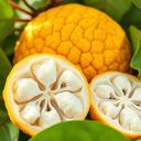 Santol – tropikalny owoc z Azji o zdrowotnych właściwościach
